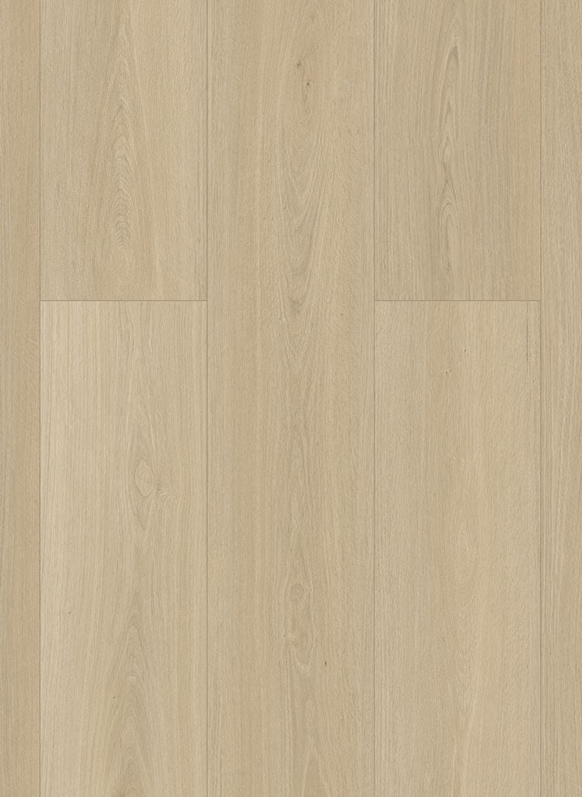 Gelasta Highland 3502 (rigid click) Desert