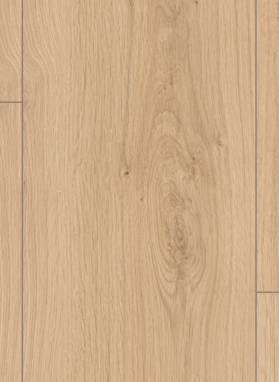 Gelasta Lion 8 mm 2113 Volta Eiken Beige