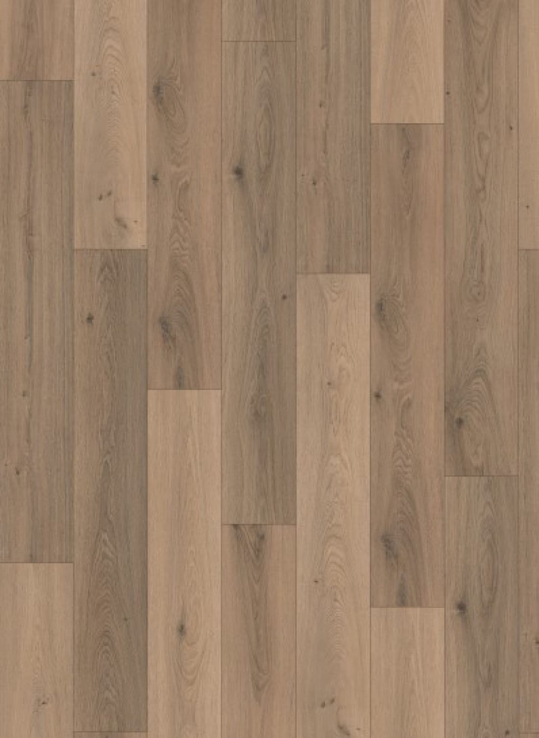 Gelasta Panthera 1059 Tokio Oak