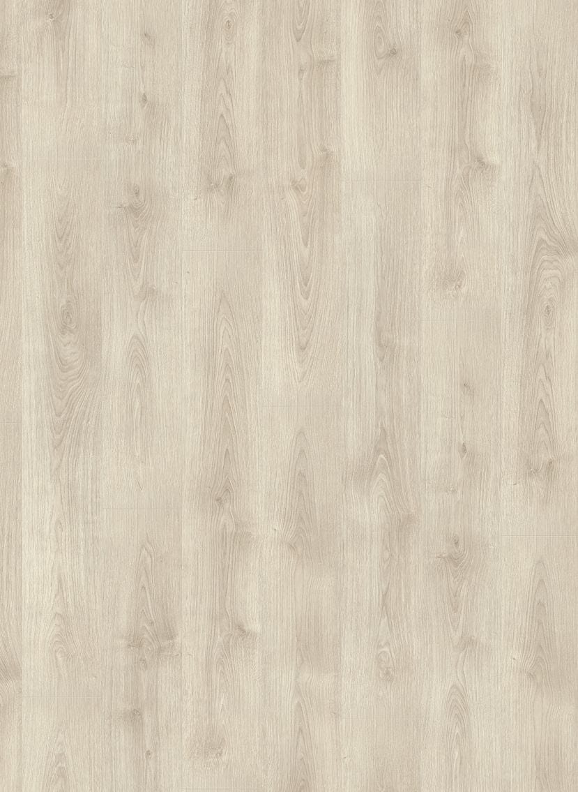 Gelasta Panthera 2968 Berlin Oak