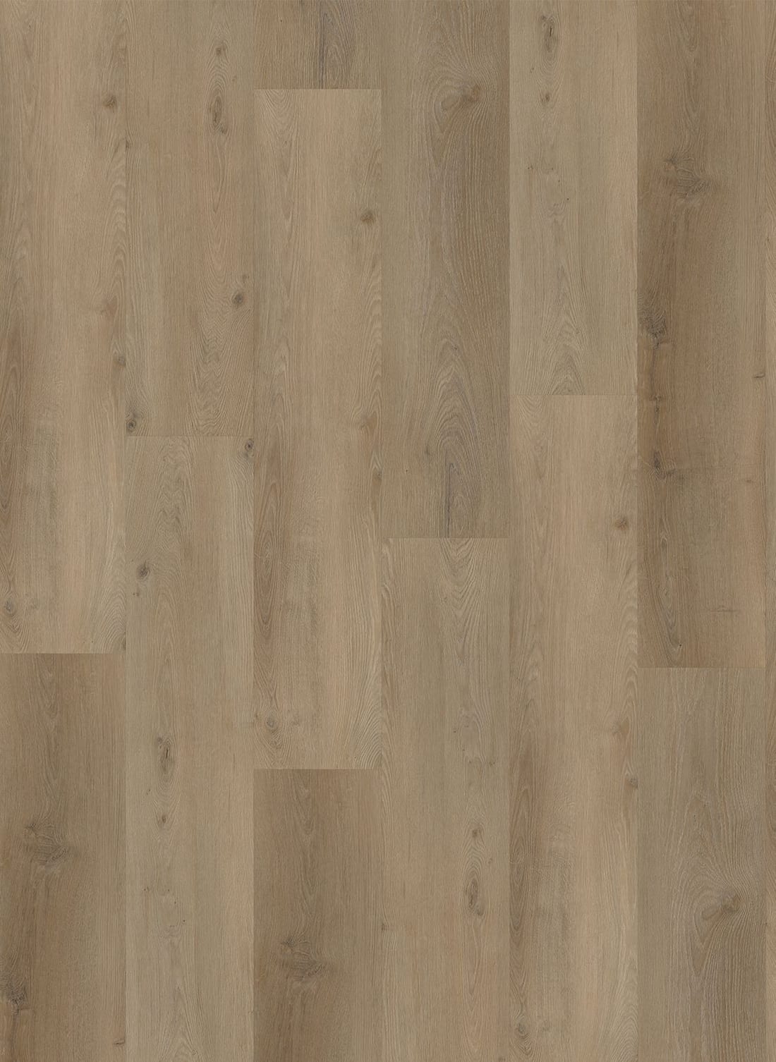 Gelasta Vario 4901 (dryback) Prestige Oak Smoked