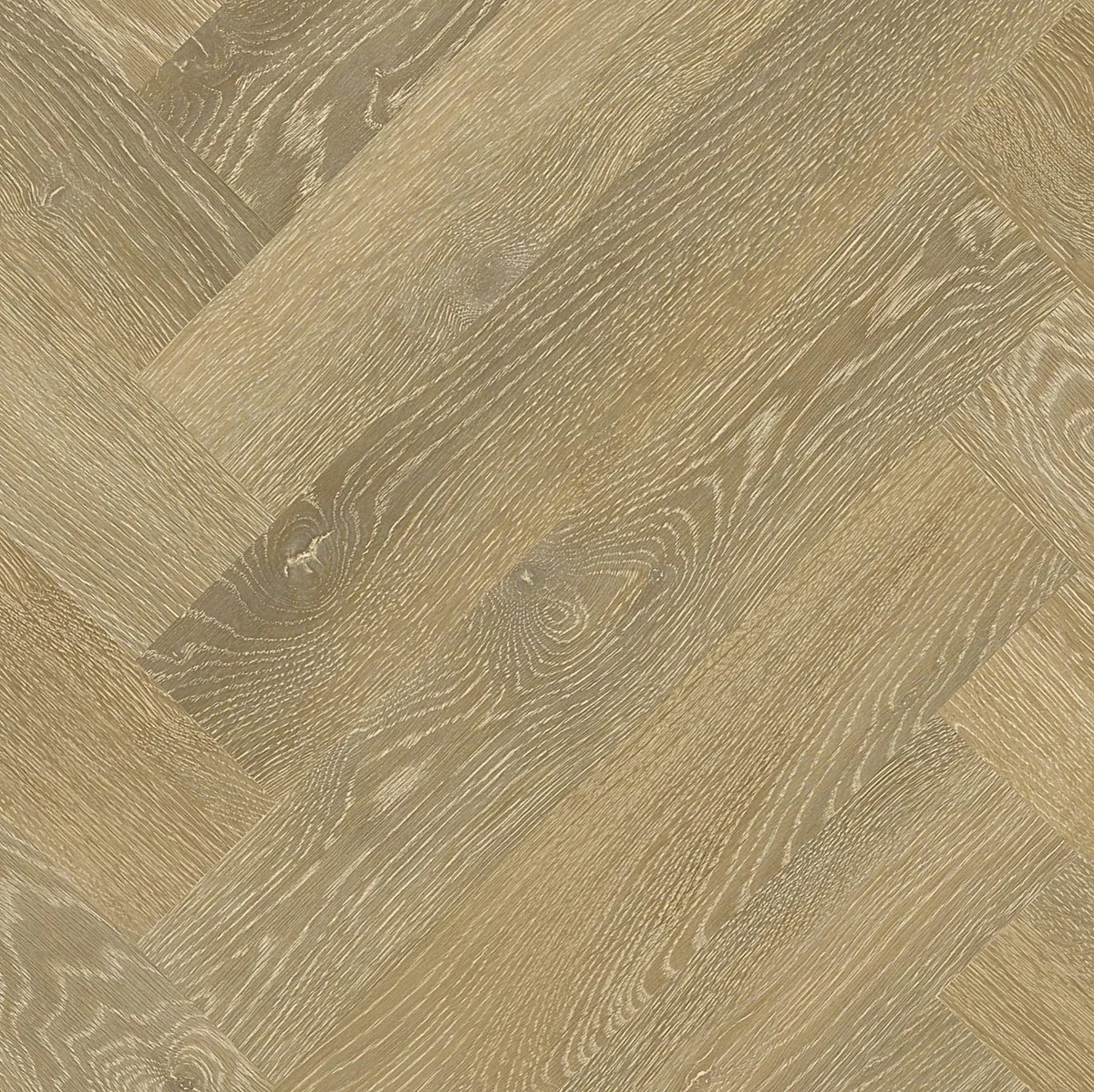 Hello Floor Atelier Landgoed visgraat dryback