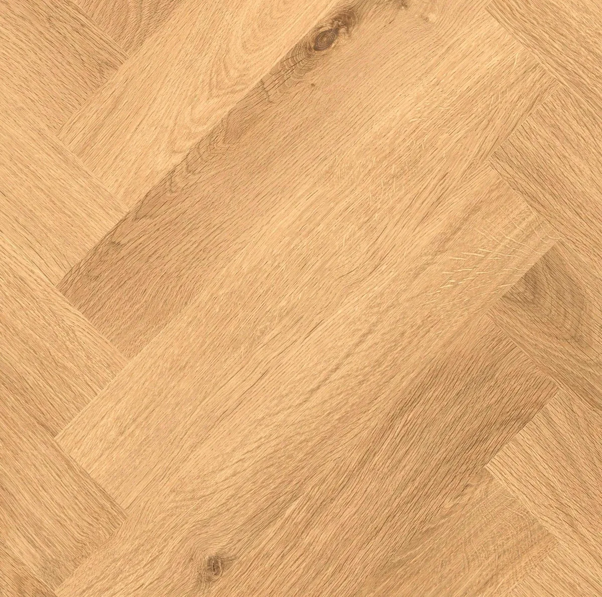 Hello Floor Atelier Eikenlaan visgraat dryback