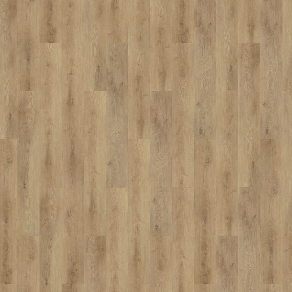 mFLOR 62336 Colton Tyler Lijm