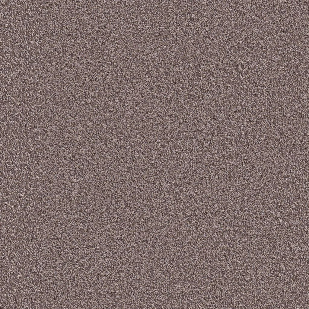 Ambiant – Tide Gallia lila 0560