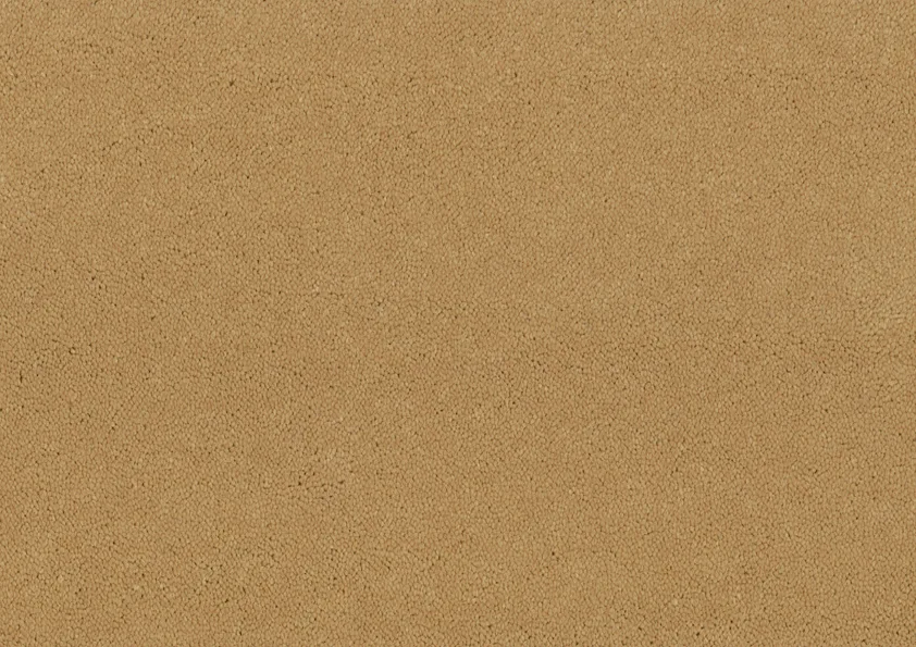 Bonaparte Montana 472