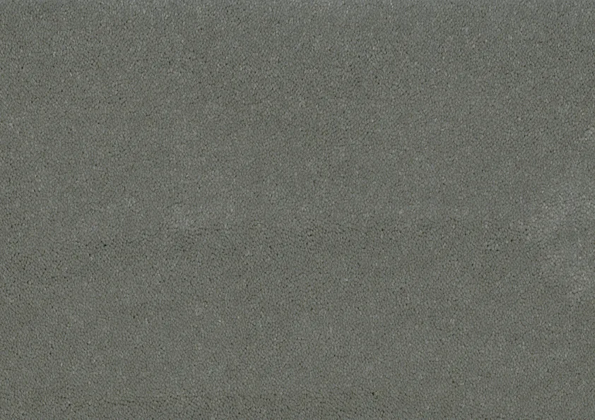 Bonaparte Montana 492