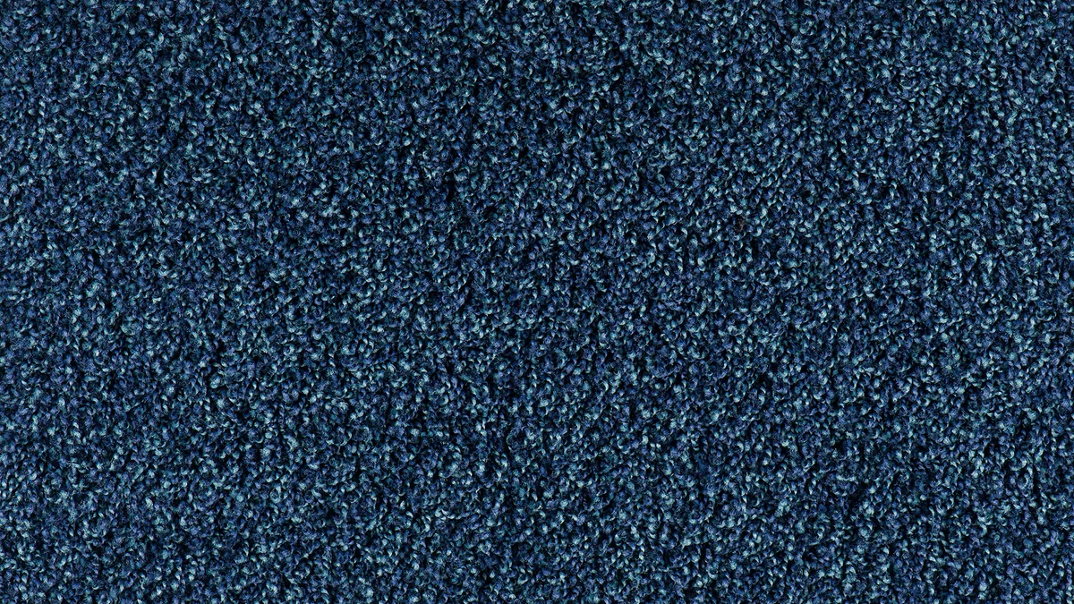 Bonaparte Vincent 231