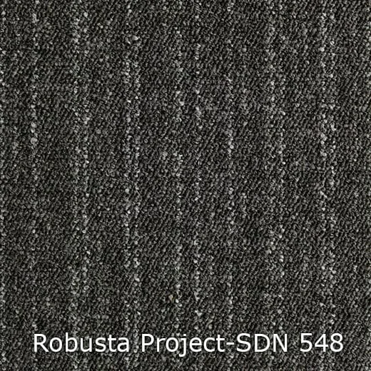 Interfloor Robusta Project SDN 548