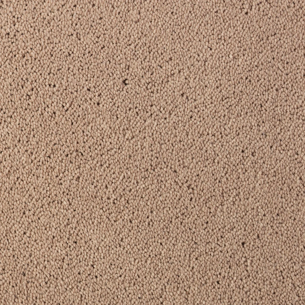 Desso Asteranne 2946