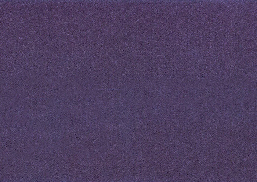 Bonaparte Montana 436