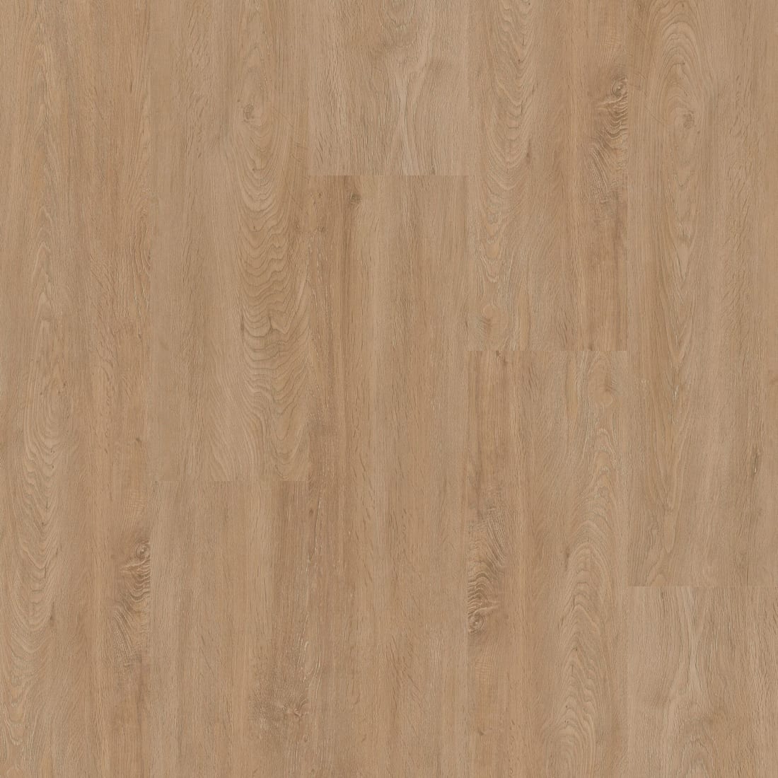 Therdex Basic kleur 2010-2